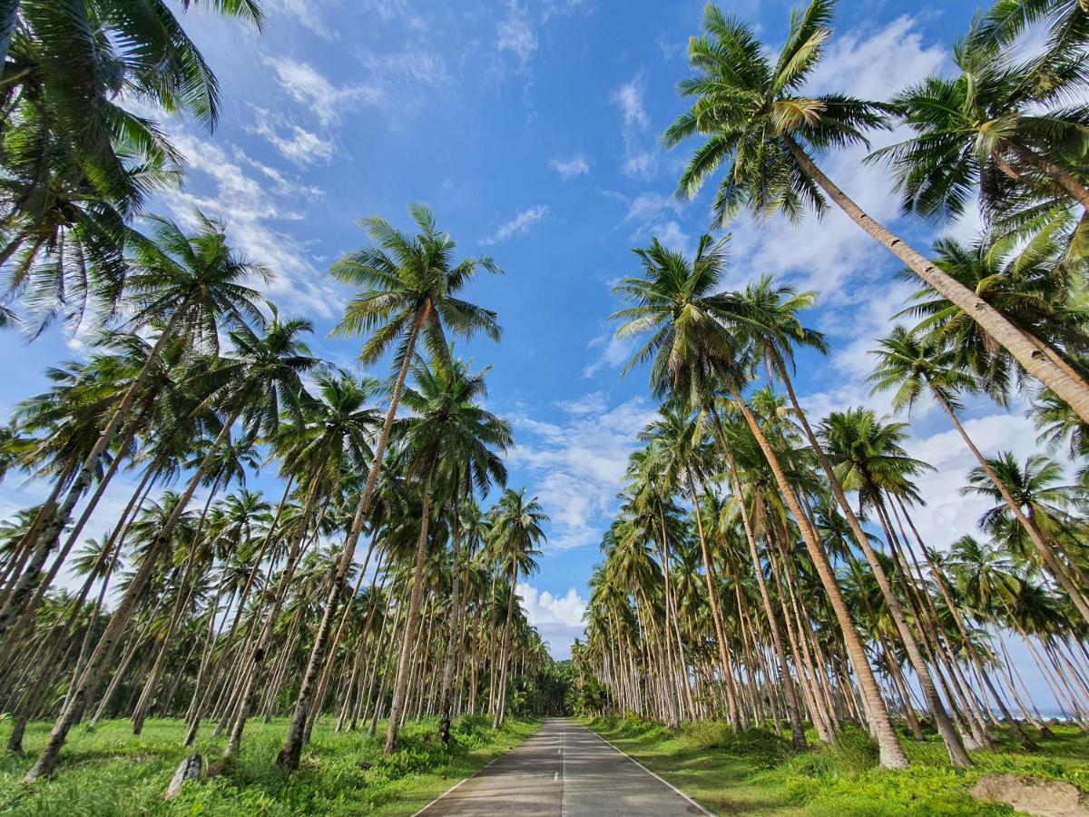 Coleto Siargao Bed & Breakfast San Isidro  Exterior foto