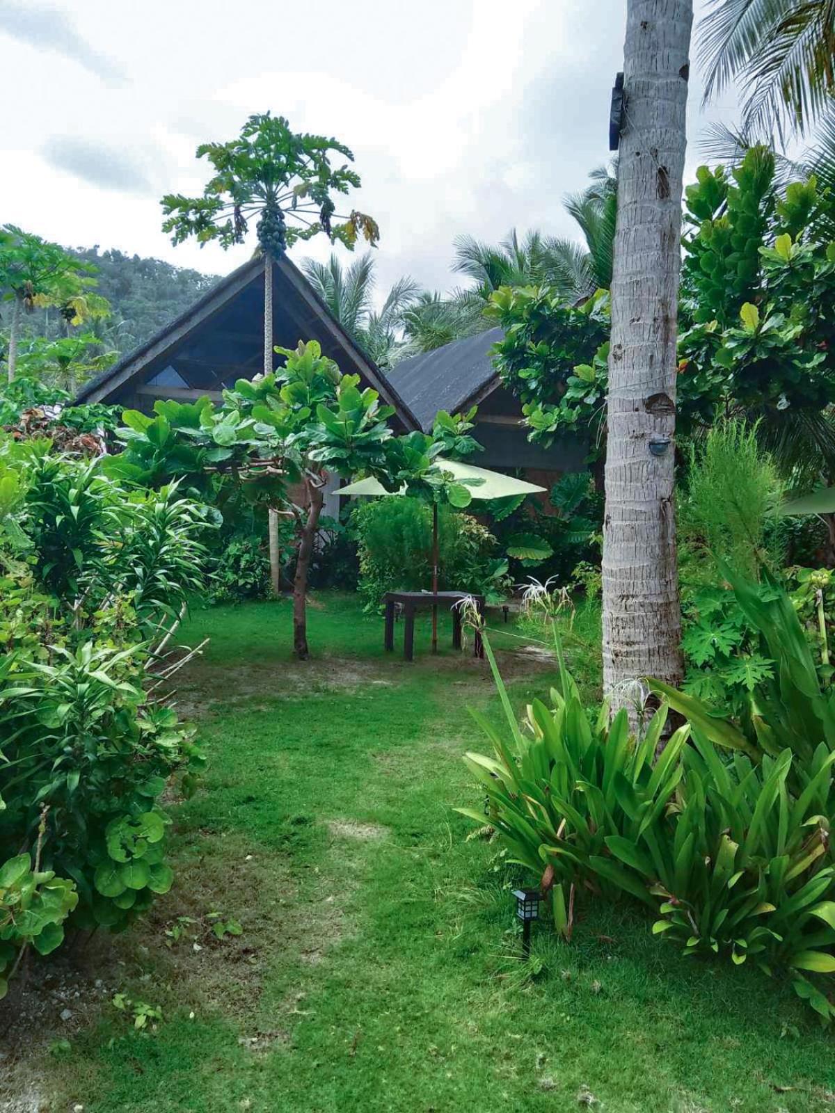 Coleto Siargao Bed & Breakfast San Isidro  Exterior foto