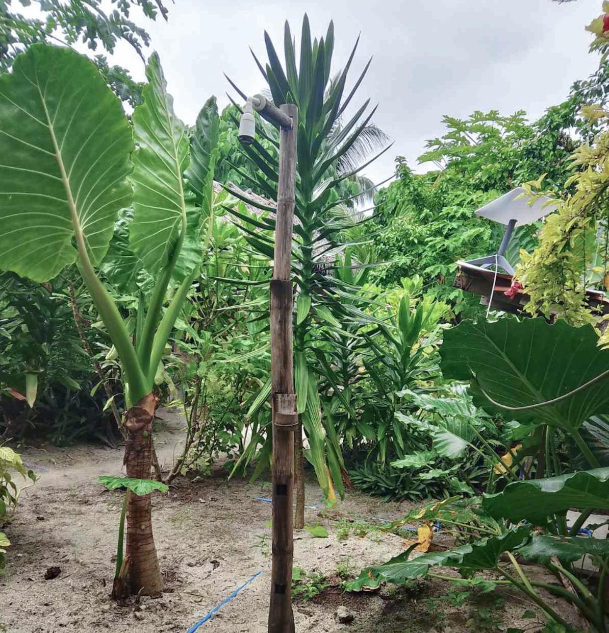 Coleto Siargao Bed & Breakfast San Isidro  Exterior foto