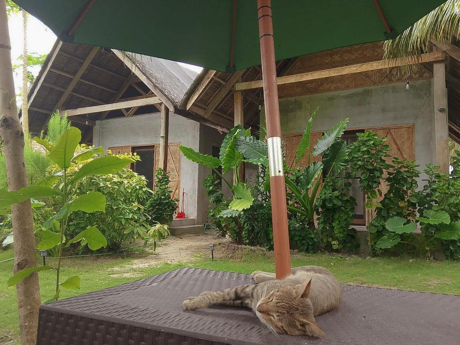 Coleto Siargao Bed & Breakfast San Isidro  Exterior foto