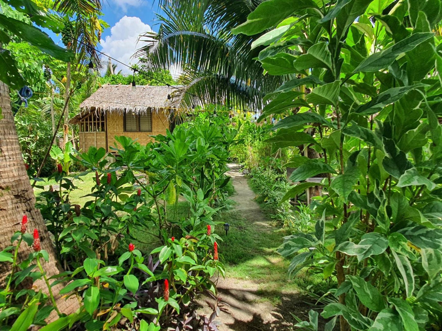 Coleto Siargao Bed & Breakfast San Isidro  Exterior foto