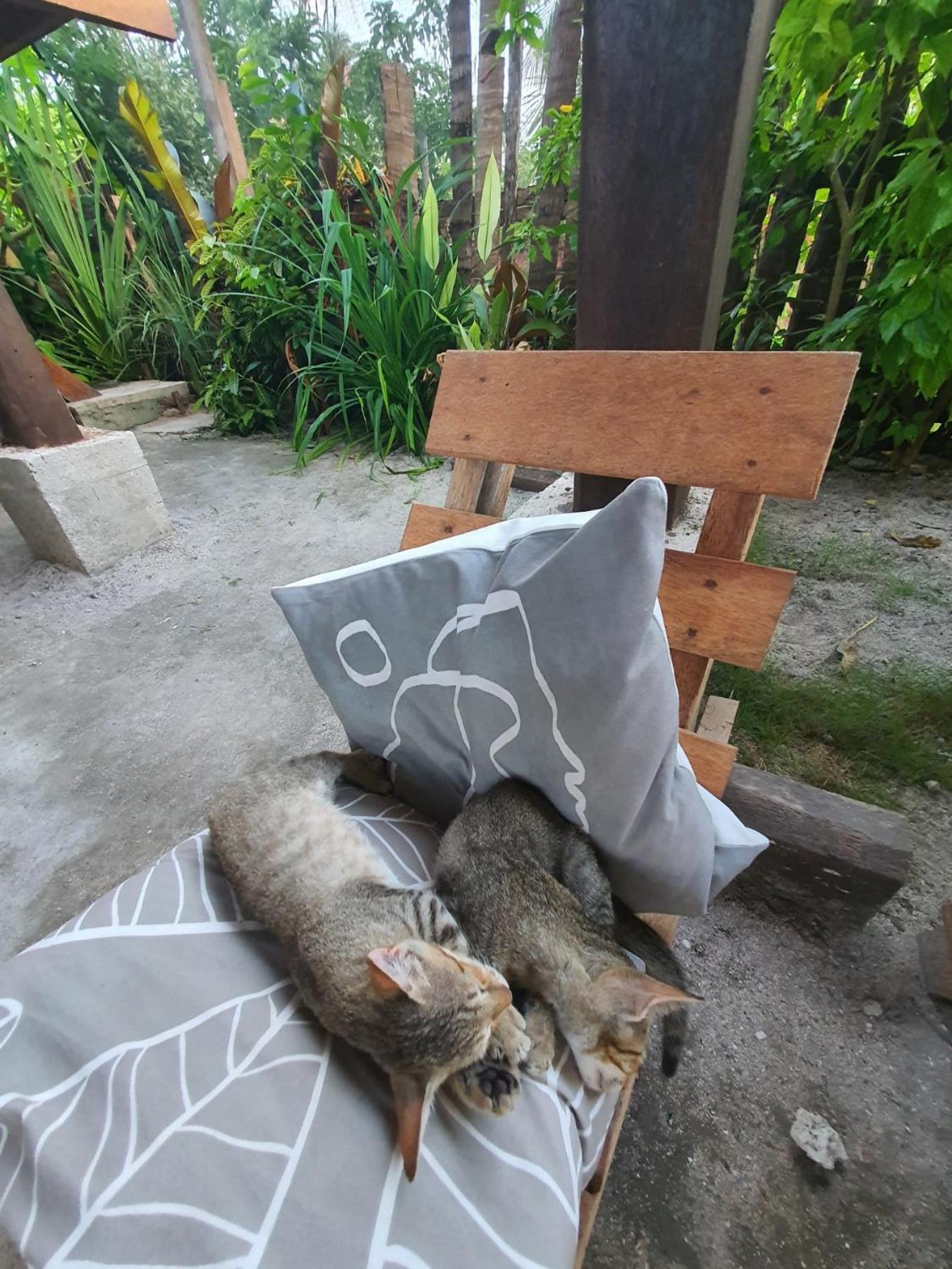Coleto Siargao Bed & Breakfast San Isidro  Exterior foto